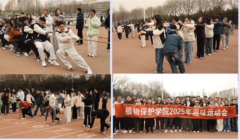 800趣味运动会现场照片.jpg