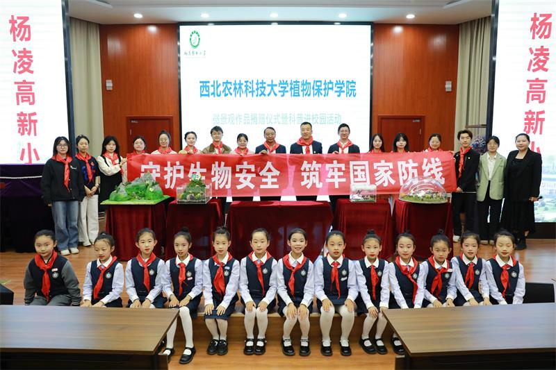 “微景观+昆虫科普”助力青少年生物安全教育
