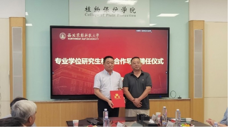 颁发聘书.jpg