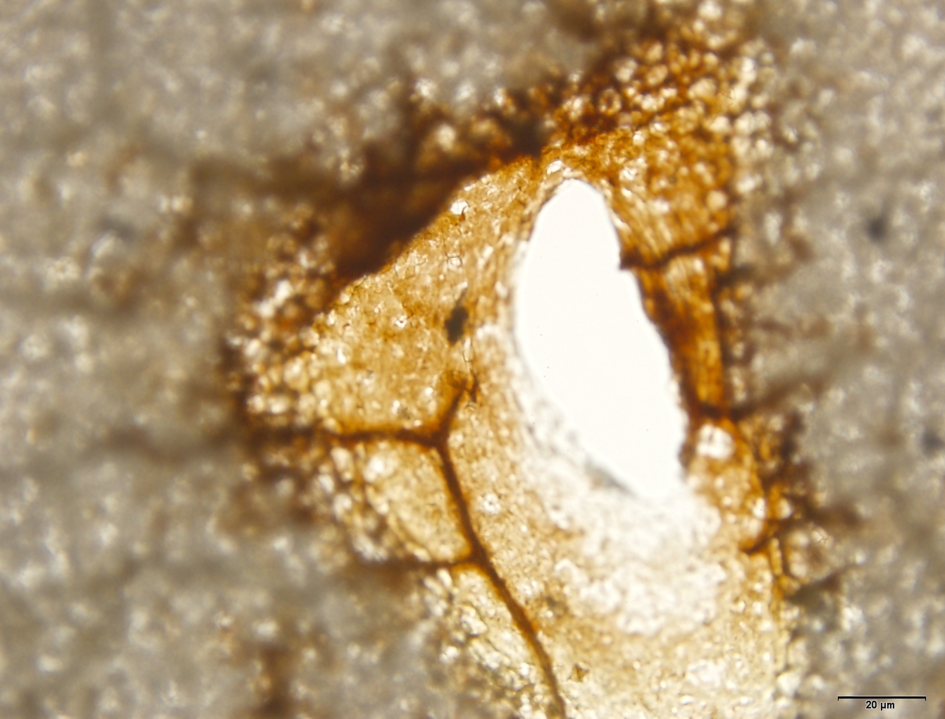 3baab6a5ee74448192803a9bdf735668.jpg 3baab6a5ee74448192803a9bdf735668.jpg