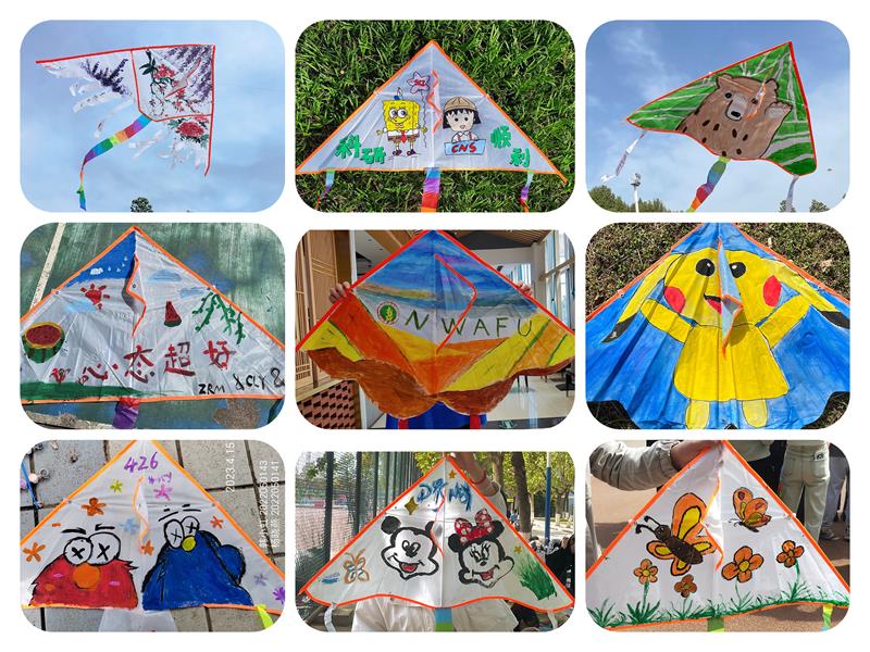 c2994033336c429d9abe325f8deab17e.jpg 风筝组图800.jpg